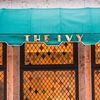 The Ivy