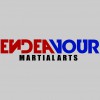 Endeavour Martial Arts