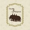 The Three Mughals