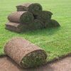 Ashland Turf Supplies