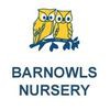 Barnowlsnursery.com