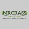 Mr Grass