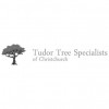 Tudor Tree Specialists