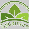 Sycamore Country Park