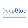 Deep Blue Networks