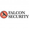 Falcon Security