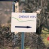 Cheviot Vets