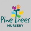 Pine Trees Nursery