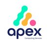 Apex Computing Services