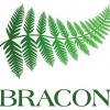 Bracon