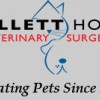 Willett House Veterinary Surgeons