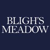 Bligh's Meadow Shopping Centre