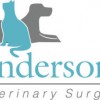 Anderson Veterinary Surgery