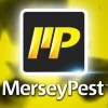 Merseypest