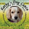 Kathy's Dog Cabin