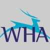 White Hart Associates