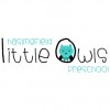 Haslingfield Little Owls Pre School