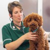 Corner House Veterinary Surgery