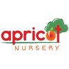 Apricot Nursery