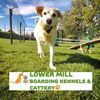 Lower Mill Boarding Kennels & Cattery