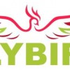 Flybird Taxi Airport Transfers