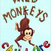 Wild Monkeys Childcare