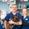 Clifton Veterinary Practice