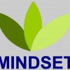 Mindset Clinical Hypnotherapy