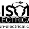 Bison-electrical