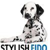 Stylish Fido