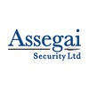 Assegai Security Solutions