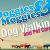 Doggies-n-Moggies