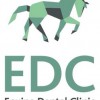 Equine Dental Clinic