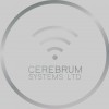 Cerebrum Systems