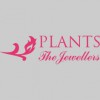 Plants The Jewellers