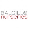 Balgillo Nurseries Dundee