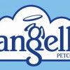 Angell Petco