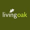 Living Oak