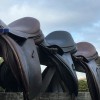 Asti Equestrian