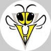 Holbrook Hornets Fotball Club