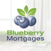 Blueberry Mortgages Bristol