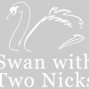 Swan With Two Nicks