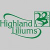 Highland Liliums