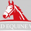 Field Equine Vets