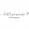 Little Primrose Photography