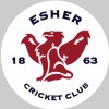 Esher Cricket Club