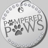 Pampered Paws Glasgow