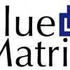 Blue Matrix Business Services