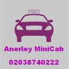 Anerley Minicab