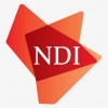 N D I Insurance & Reinsurance